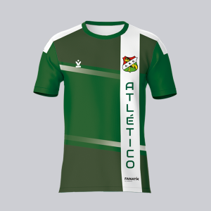 Camisola de Treino Verde